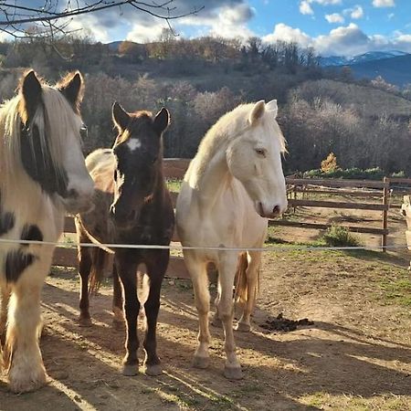 مبيت وإفطار Los Masos Chambre D'Hotes Le Petit Ranch المظهر الخارجي الصورة