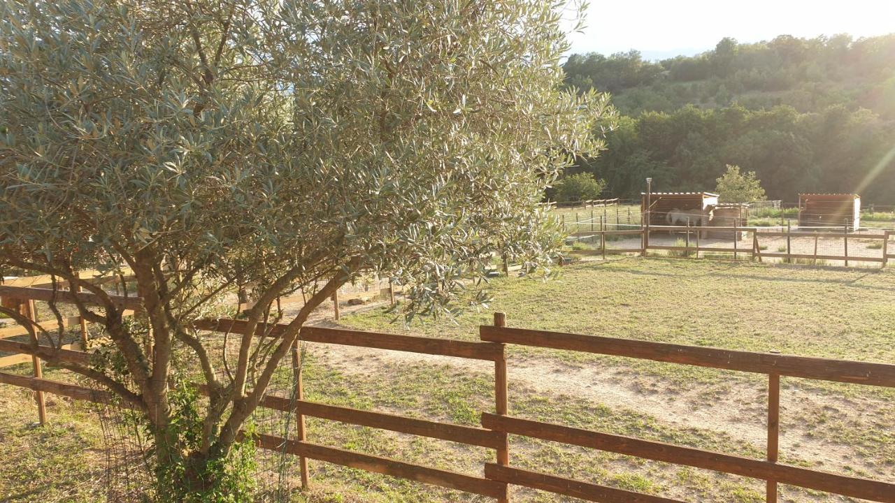 مبيت وإفطار Los Masos Chambre D'Hotes Le Petit Ranch المظهر الخارجي الصورة