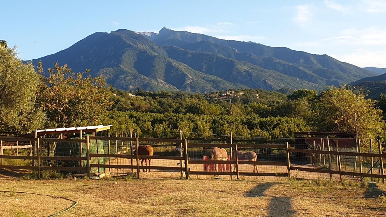 مبيت وإفطار Los Masos Chambre D'Hotes Le Petit Ranch المظهر الخارجي الصورة