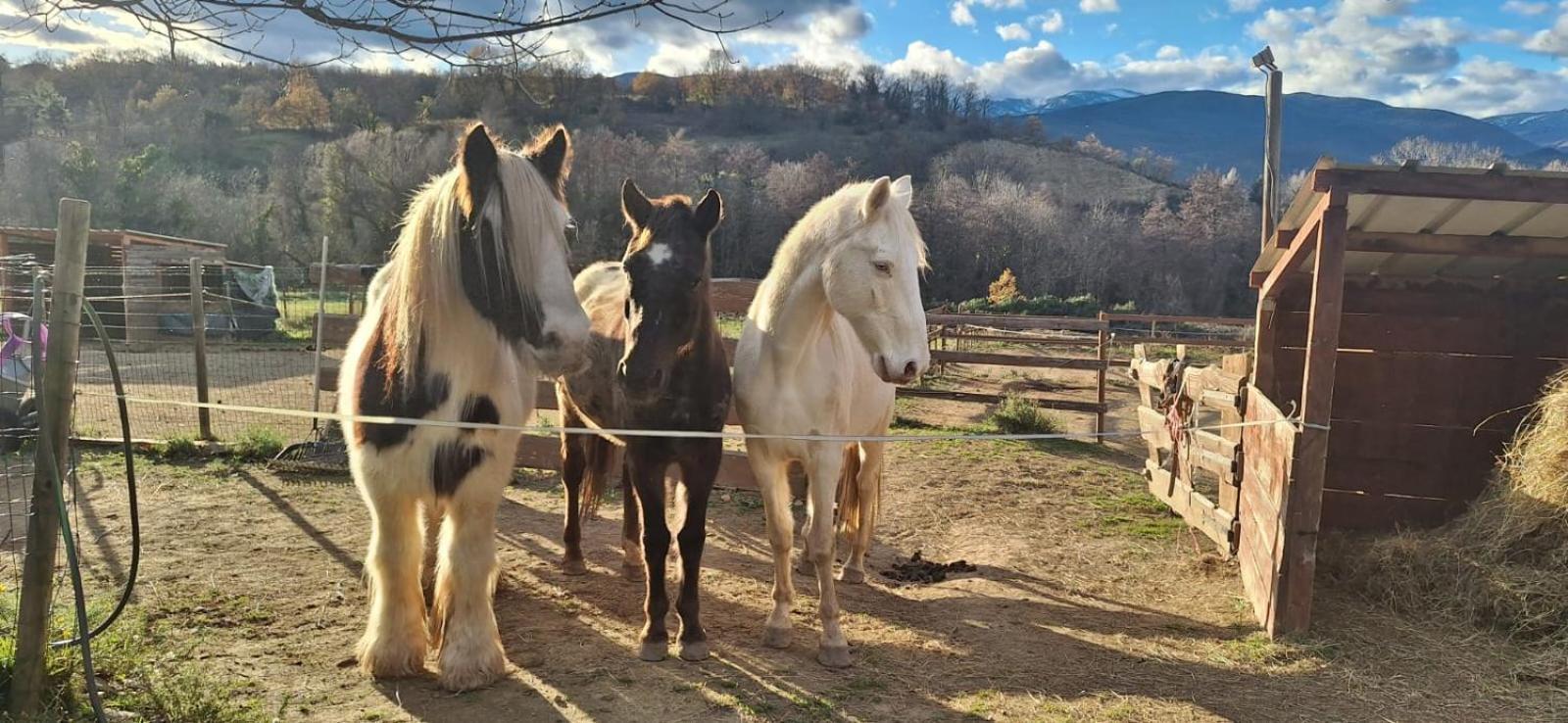 مبيت وإفطار Los Masos Chambre D'Hotes Le Petit Ranch المظهر الخارجي الصورة